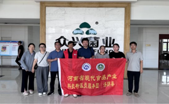 联系电话：0371-56552829