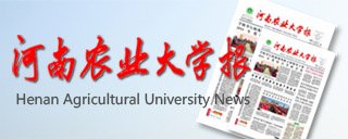 山东泰山携手利博娱乐公布官方合作欢迎你！